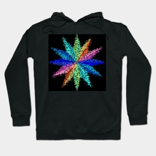 Star b Hoodie